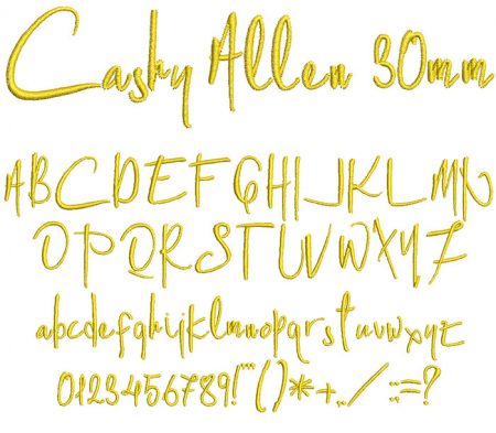 Cashy Allen 30mm Font